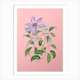 Vintage Violet Clematis Flower Botanical on Soft Pink n.0269 Art Print