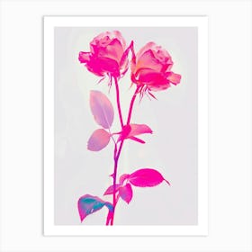 Hot Pink Rose 4 Art Print