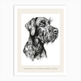 German Wirehaired Dog Line Sketch 3 Poster Art Print