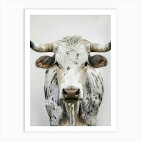 Longhorn Bull 3 Art Print