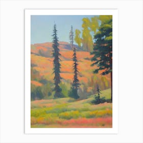 Redwood Tree Watercolour Art Print