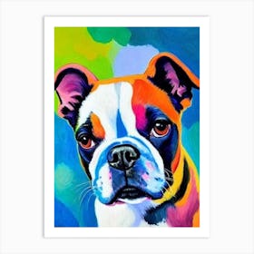 Boston Terrier 2 Fauvist Style Dog Art Print