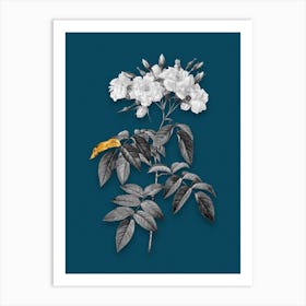 Vintage Musk Rose Black and White Gold Leaf Floral Art on Teal Blue n.0347 Art Print