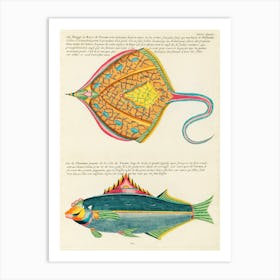 Colourful And Surreal Illustrations Of Fishes Found In Moluccas (Indonesia) And The East Indies, Louis Renard(5) Art Print