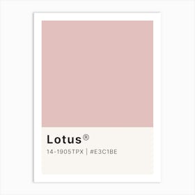 Lotus Art Print