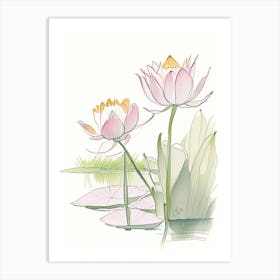 Lotus Flowers In Park Pencil Illustration 9 Art Print