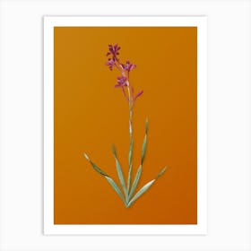 Vintage Bugle Lily Botanical on Sunset Orange n.0141 Art Print