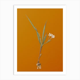 Vintage Gladiolus Inclinatus Botanical on Sunset Orange Art Print