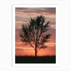 Lone Tree At Sunset 5 Art Print