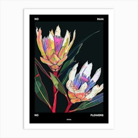 No Rain No Flowers Poster Protea 3 Art Print