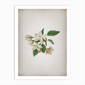 Vintage Crabapple Botanical on Parchment n.0302 Art Print