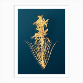 Vintage Yellow Asphodel Botanical in Gold on Teal Blue n.0261 Art Print