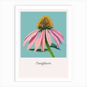 Coneflower Square Flower Illustration Poster Art Print