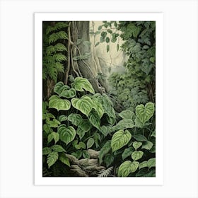 Vintage Jungle Botanical Illustration Pothos 2 Art Print