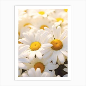 Daisies Art Print