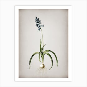 Vintage Common Bluebell Botanical on Parchment n.0266 Art Print