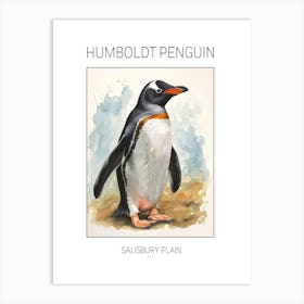 Humboldt Penguin Salisbury Plain Watercolour Painting 3 Poster Art Print