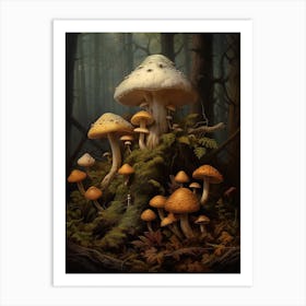 Forest Mushrooms 1 Art Print
