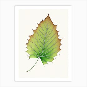 Sycamore Leaf Warm Tones Art Print