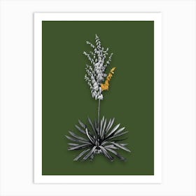 Vintage Adams Needle Black and White Gold Leaf Floral Art on Olive Green n.0655 Art Print