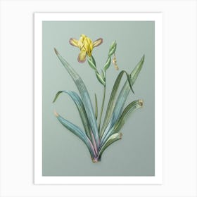 Vintage Hungarian Iris Botanical Art on Mint Green n.0383 Art Print