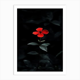 Single Red Flower 6 Art Print