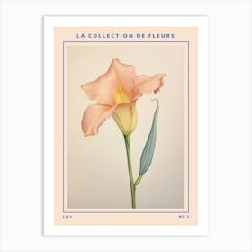 Lily 2 French Flower Botanical Poster Art Print