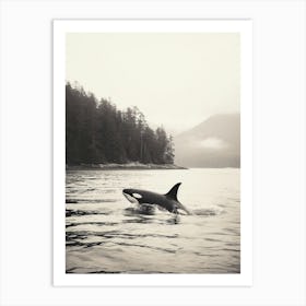 Misty Black & White Orca Whale Forest And Ocean Photography Style 3 Art Print