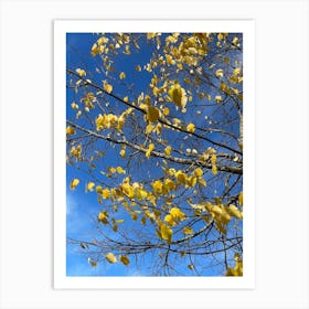 Yellow Leaves On A Tree 1 Art Print