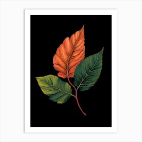 Autumn Leaves On Black Background Art Print