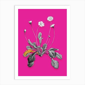 Vintage Daisy Flowers Black and White Gold Leaf Floral Art on Hot Pink Art Print