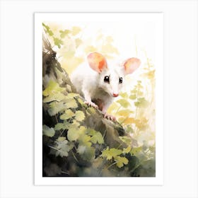 Light Watercolor Painting Of A Foraging Possum 3 Art Print