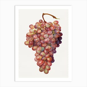 Bunch Of Grapes Art Print