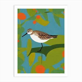 Dunlin Midcentury Illustration Bird Art Print