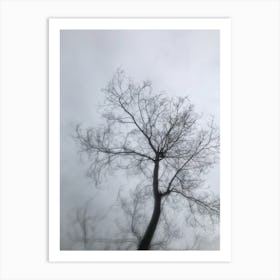 Bare Tree 1 Art Print