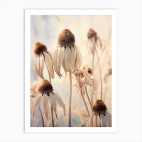 Boho Dried Flowers Coneflower 1 Art Print