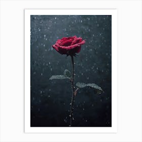 Rose In The Rain 4 Art Print