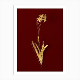 Vintage Corn Lily Botanical in Gold on Red n.0255 Art Print