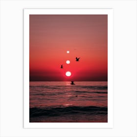 Three Sunset and Birds Art Print