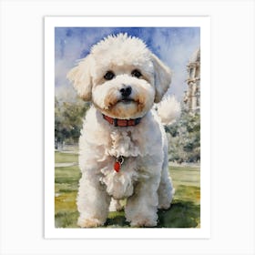 Bichon Frise Art Print