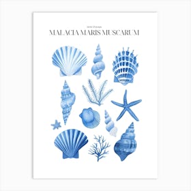 Blue Sea Shells Art Print