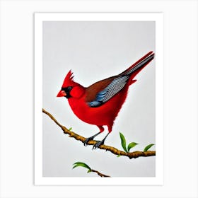 Northern Cardinal Watercolour Bird Art Print
