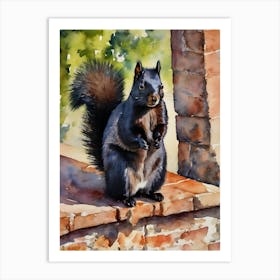 Calabrian Black Squirrel Art Print