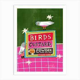 Birds Custard Powder Box Neon Food Art Print