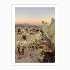 Cholla Cactus Garden at Sunset, Joshua Tree National Park 3 - Vertical Art Print