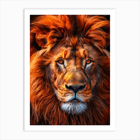 Lion Portrait 1 Art Print