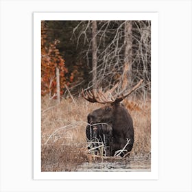 Swamp Moose Art Print