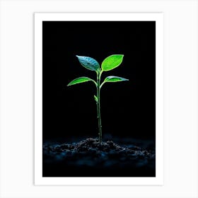 Green Plant Sprouting From The Ground 2 Art Print