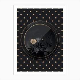Shadowy Vintage White Downy Rose Botanical in Black and Gold n.0110 Art Print