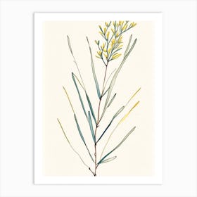 Ephedra Herb Minimalist Watercolour 1 Art Print